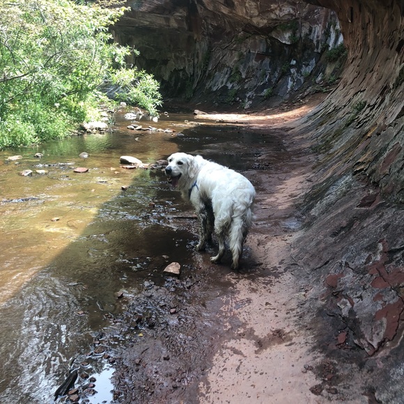 Meet me! ❣️🥂🐶👱🏼‍♀️🎉 - Picture 7 of 7